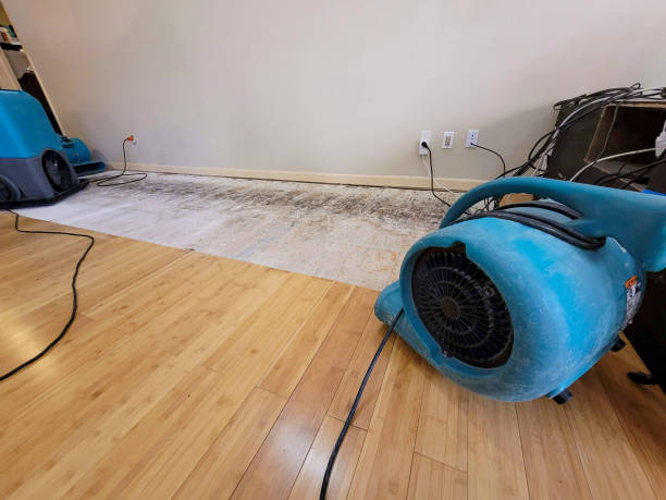 Professional Structural Drying technician working in Lafayette, MN